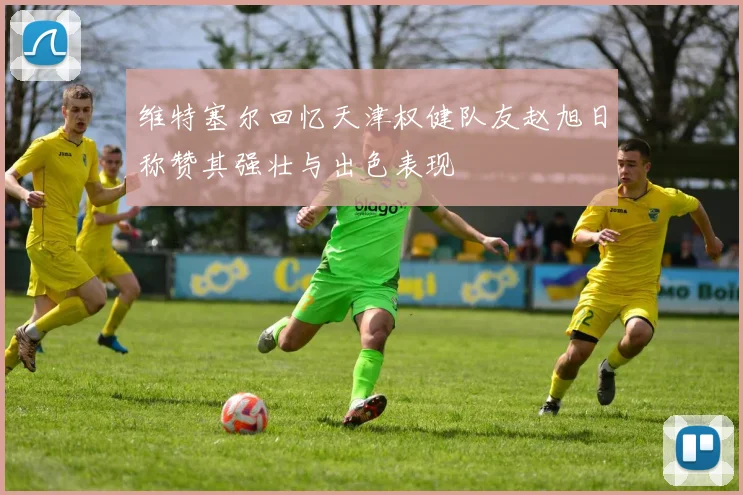 维特塞尔回忆天津权健队友赵旭日称赞其强壮与出色表现