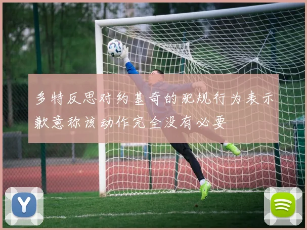 多特反思对约基奇的犯规行为表示歉意称该动作完全没有必要