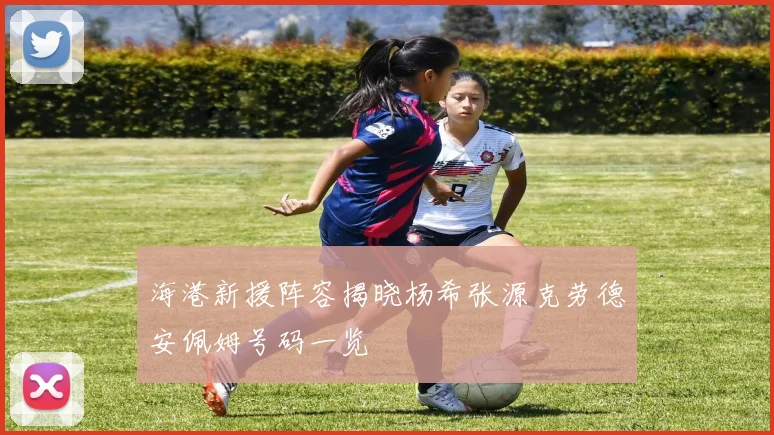 海港新援阵容揭晓杨希张源克劳德安佩姆号码一览