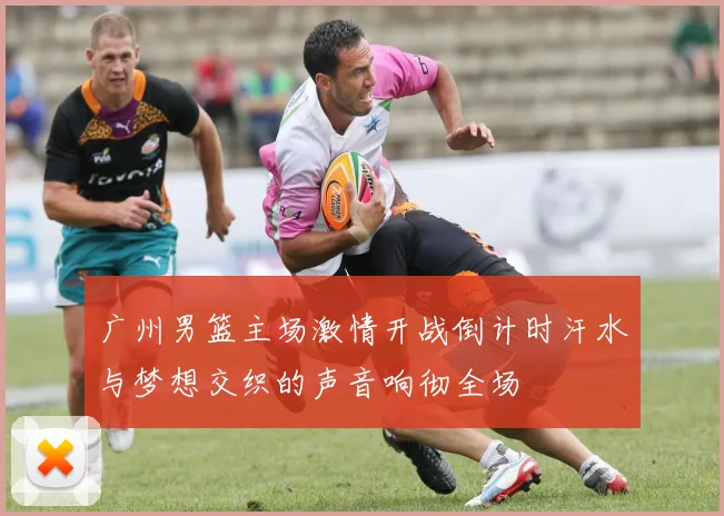广州男篮主场激情开战倒计时汗水与梦想交织的声音响彻全场